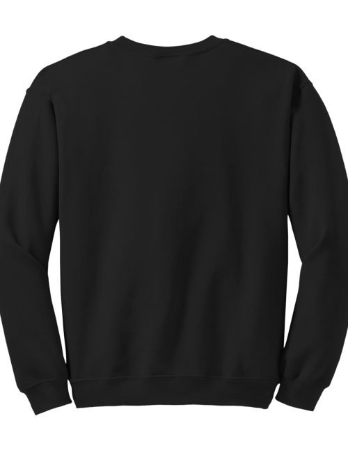 1801_flat_black_back_2023_cil